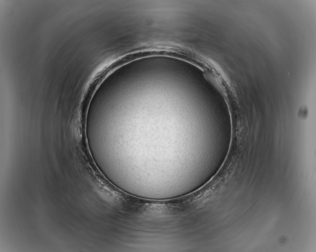 X0000100361172200806131008