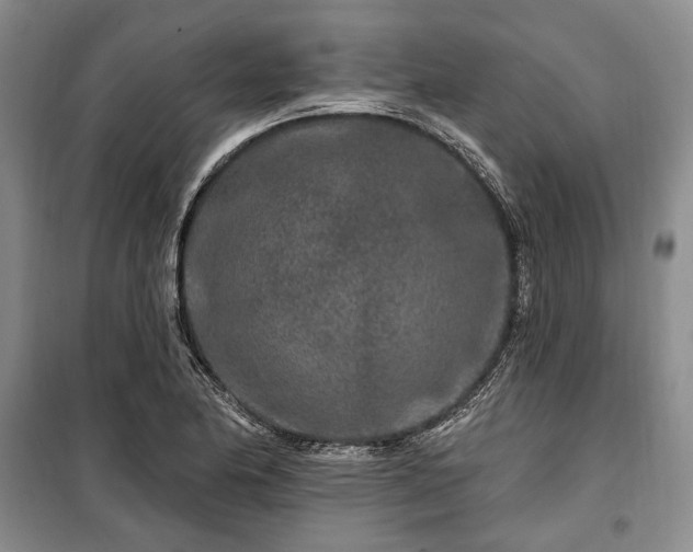 X0000100361174200806131008