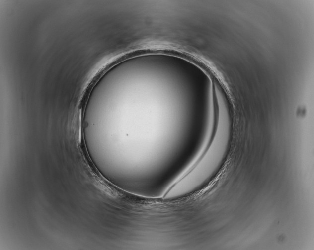 X0000100361175200806131008