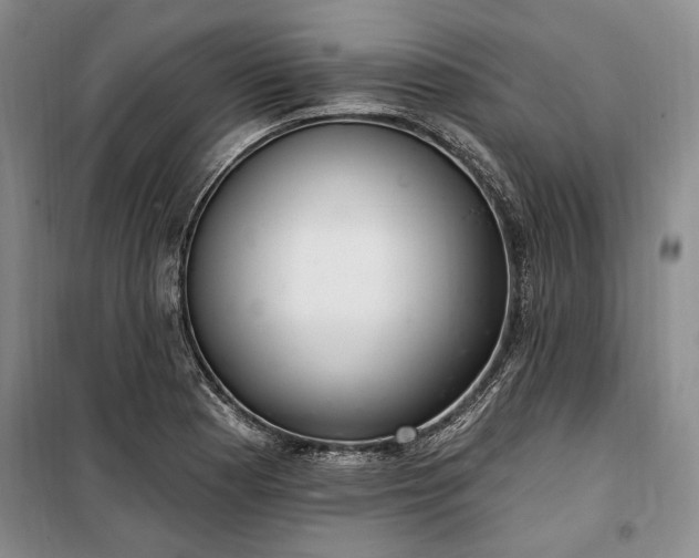 X0000100361177200806131008