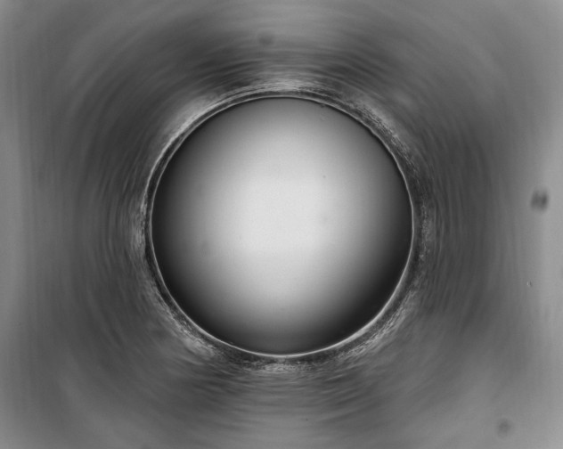 X0000100361178200806131008