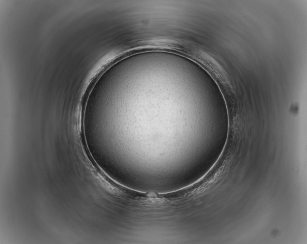 X0000100361180200806131008