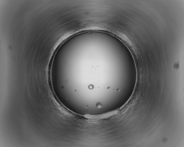 X0000100361181200806131008