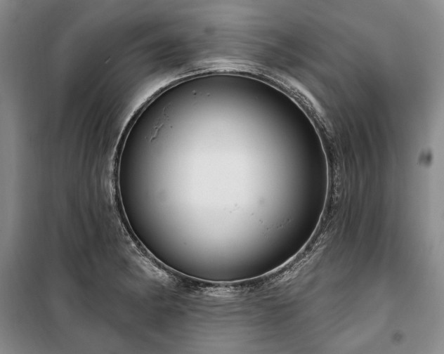 X0000100361182200806131008