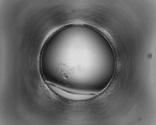 X0000100361183200806131008