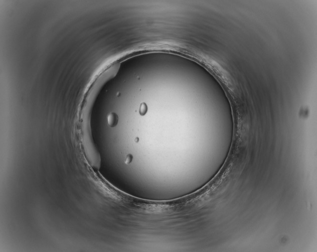 X0000100361184200806131008