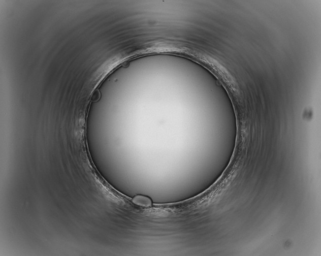 X0000100361185200806131008