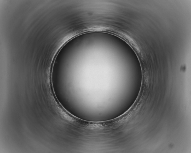 X0000100361186200806131008