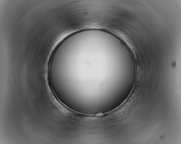 X0000100361187200806131008