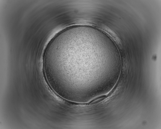 X0000100361188200806131008