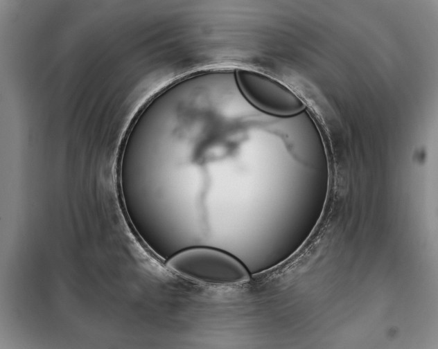 X0000100361189200806131008