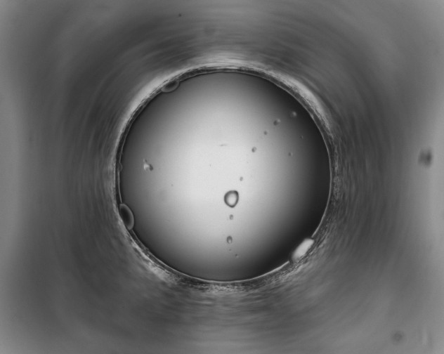 X0000100361191200806131008