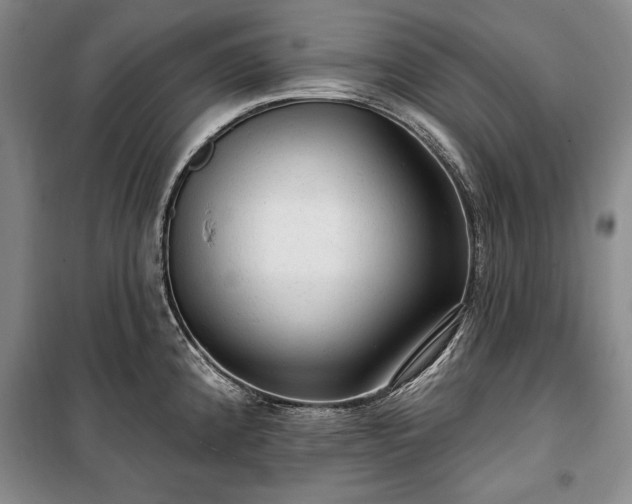 X0000100361192200806131008