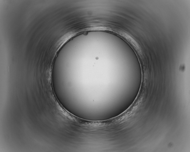 X0000100361193200806131008