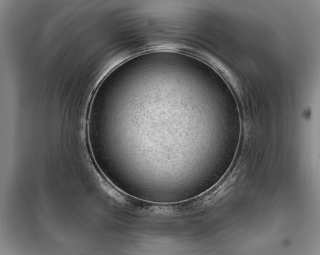 X0000100361194200806131008