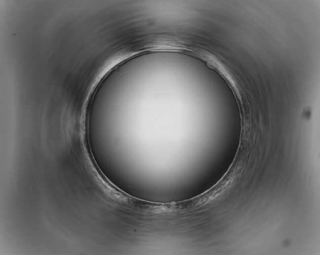 X0000100361195200806131008