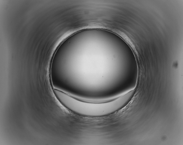 X0000100361197200806131008