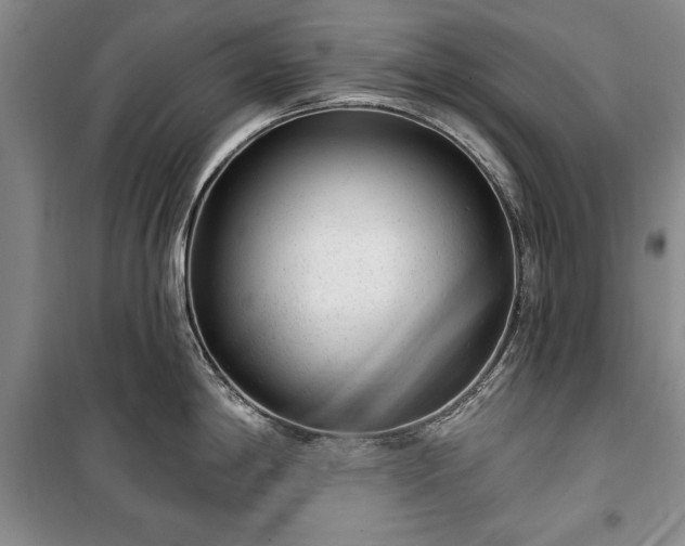 X0000100361198200806131008