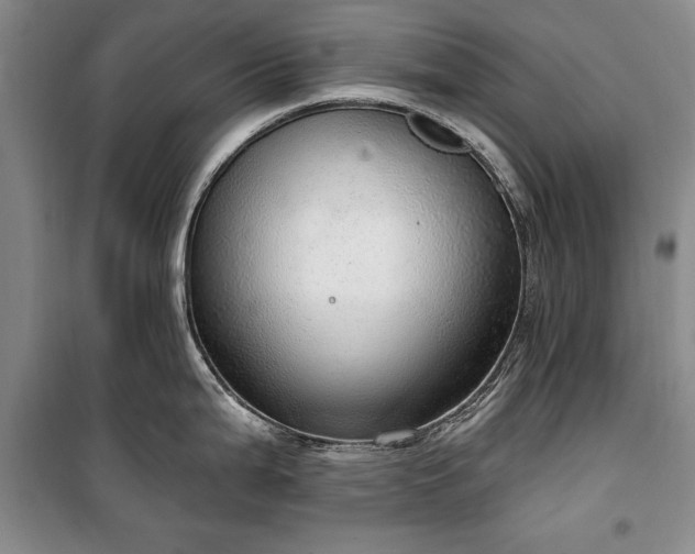 X0000100361199200806131008