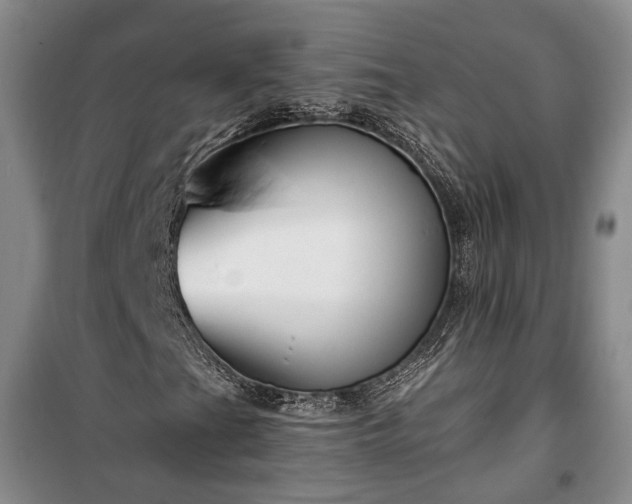 X0000100361201200806131007