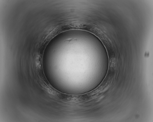 X0000100361202200806131007