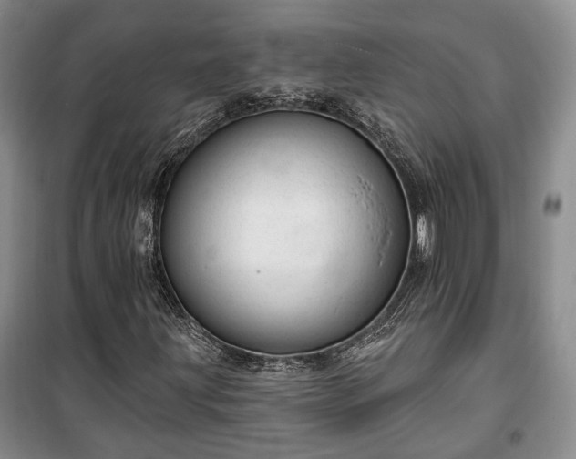 X0000100361203200806131007