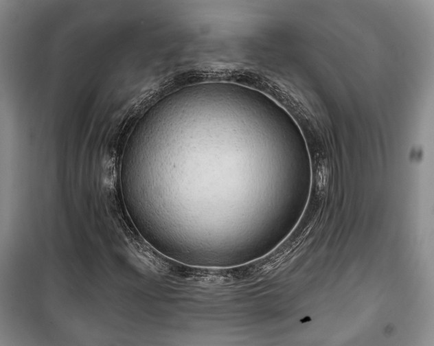 X0000100361204200806131007