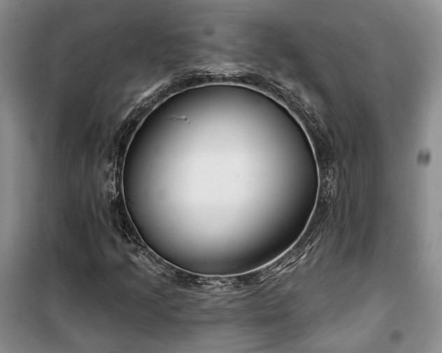 X0000100361205200806131007