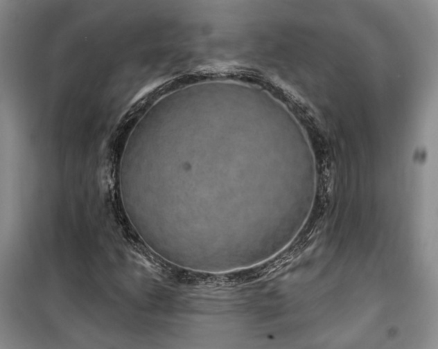 X0000100361206200806131007