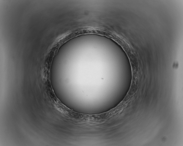 X0000100361207200806131007