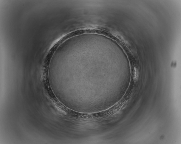 X0000100361208200806131007