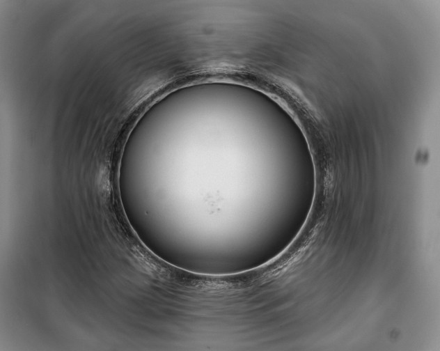 X0000100361209200806131007