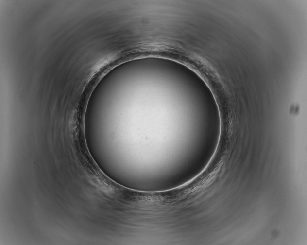 X0000100361210200806131007