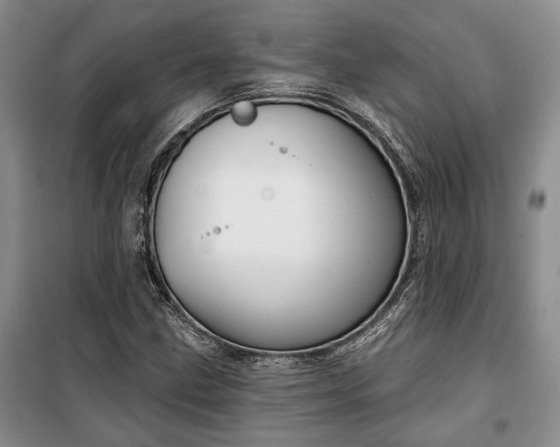 X0000100361211200806131007