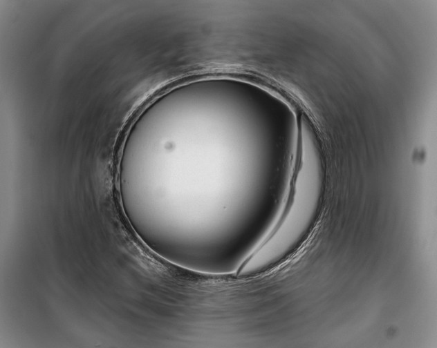 X0000100361212200806131007