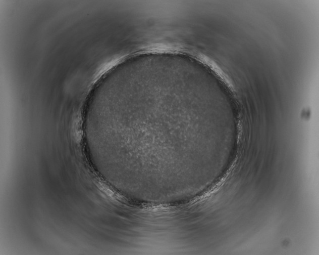 X0000100361213200806131007