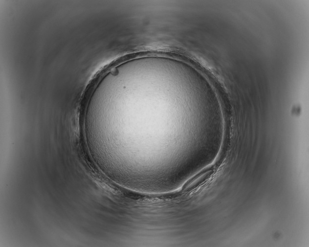 X0000100361214200806131007