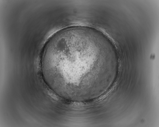 X0000100361215200806131007