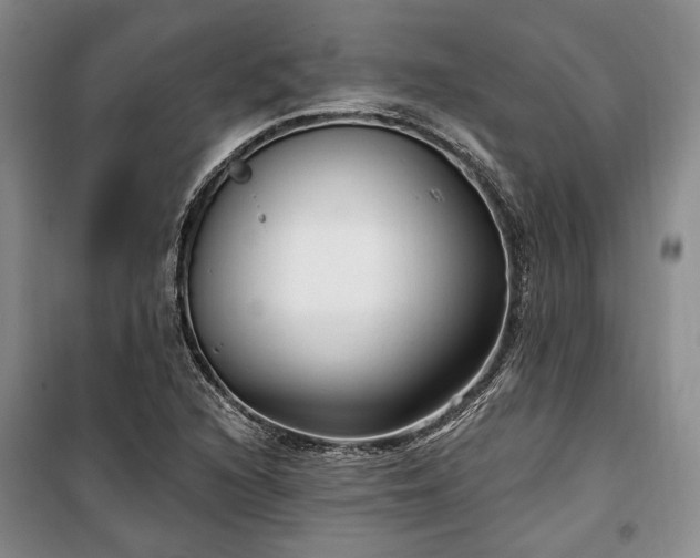 X0000100361216200806131007