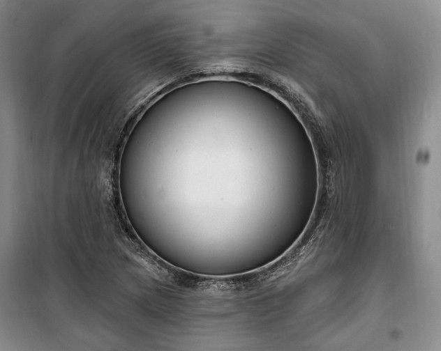 X0000100361217200806131007