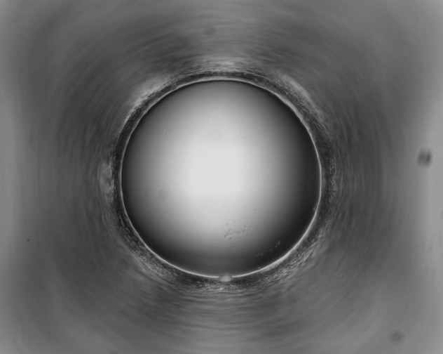 X0000100361218200806131007