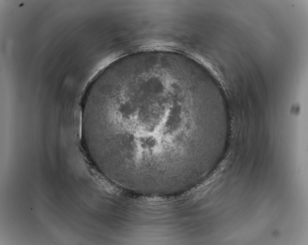 X0000100361219200806131007