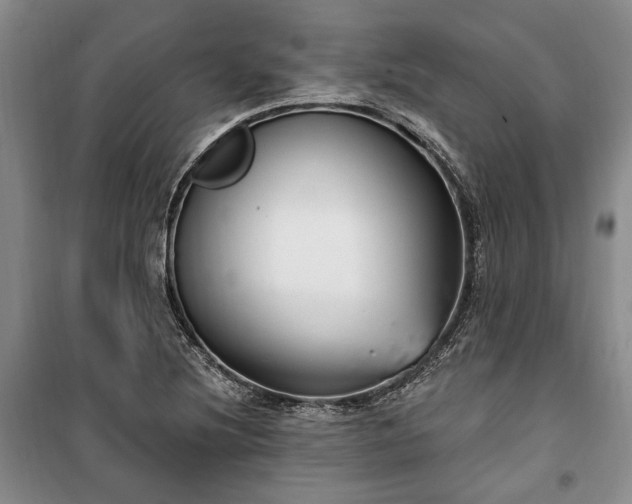 X0000100361220200806131007