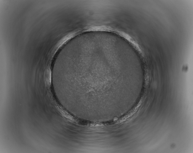 X0000100361221200806131007