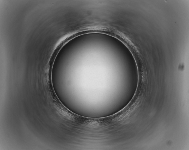 X0000100361222200806131007