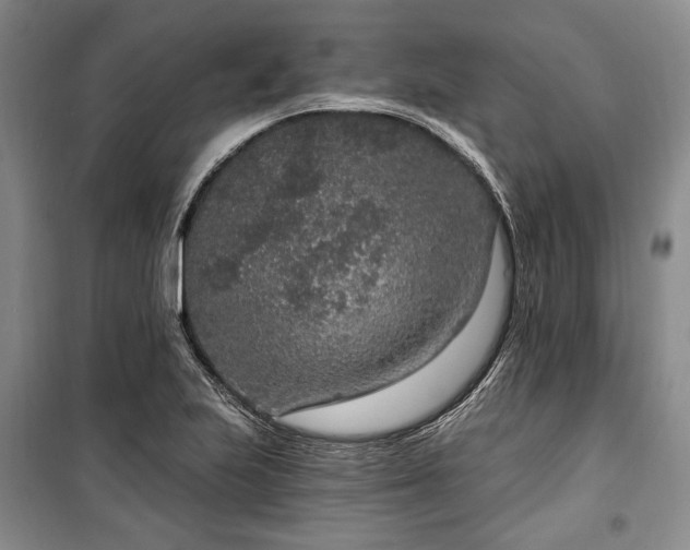 X0000100361223200806131007