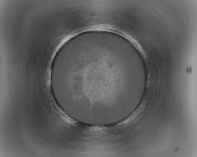 X0000100361224200806131007