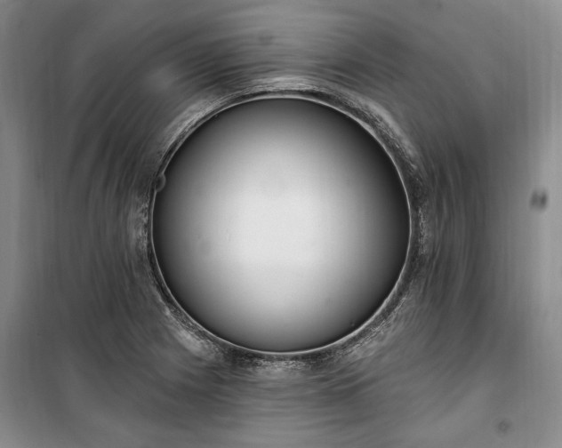 X0000100361225200806131007