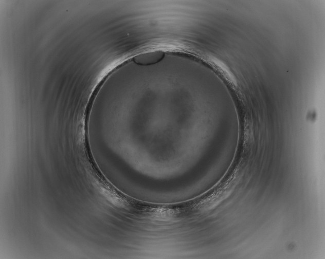 X0000100361226200806131007