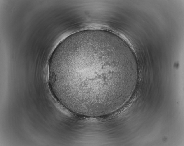 X0000100361227200806131007